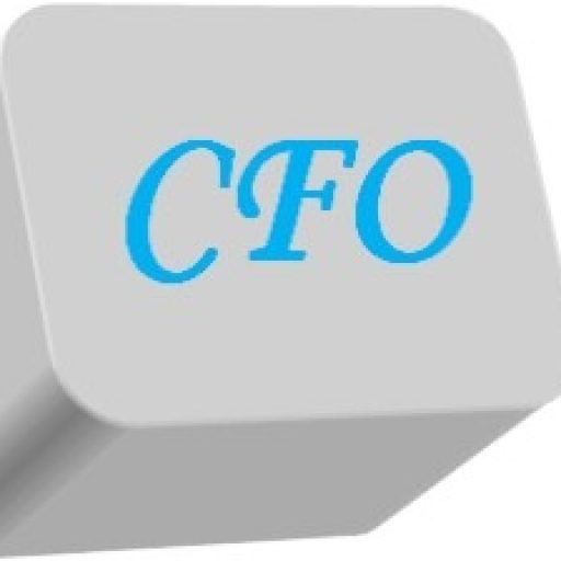 CFO CORNERSTONE LLC